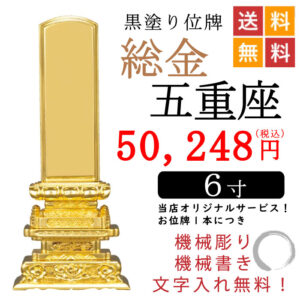 zyih1009-6