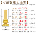 zyih1009